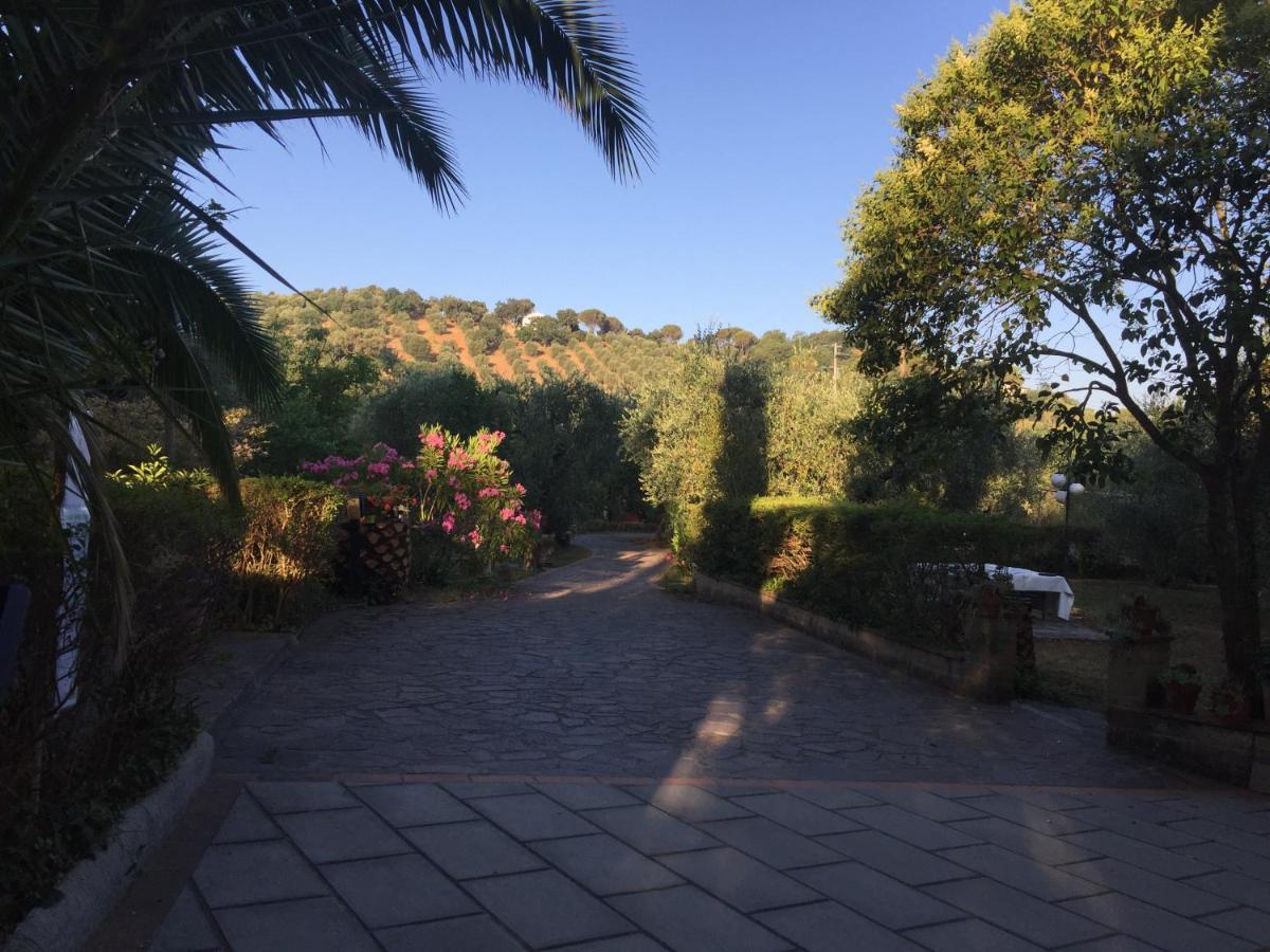 Agriturismo Buen Camino Скарлино Экстерьер фото